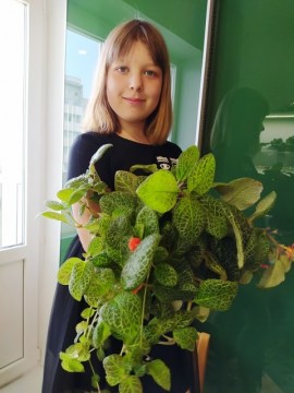 Эписция Degas